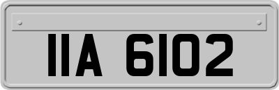 IIA6102