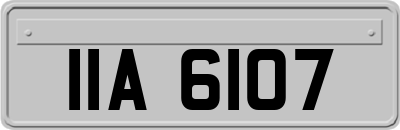 IIA6107
