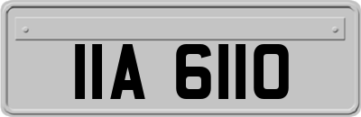 IIA6110