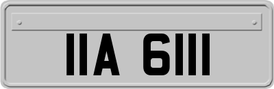 IIA6111
