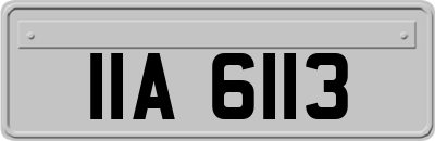 IIA6113
