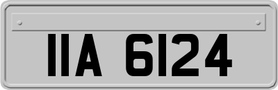 IIA6124