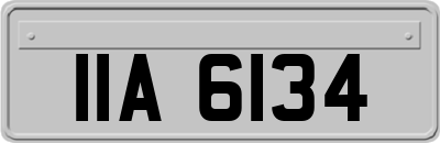IIA6134