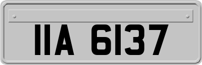IIA6137
