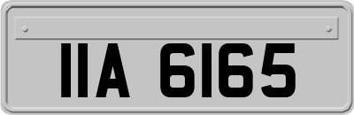 IIA6165