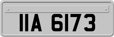 IIA6173