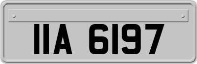 IIA6197