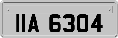 IIA6304