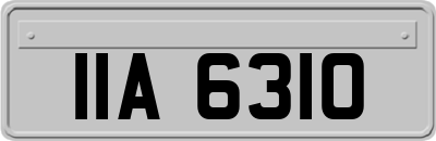 IIA6310