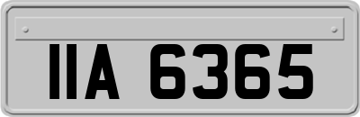 IIA6365