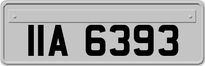 IIA6393