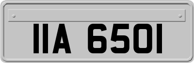 IIA6501
