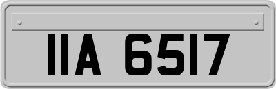 IIA6517