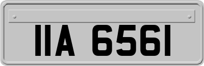 IIA6561