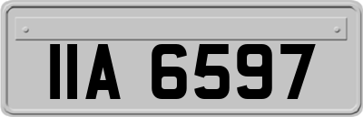 IIA6597