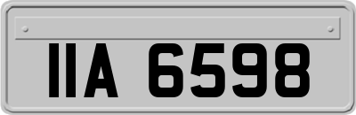 IIA6598