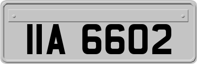 IIA6602