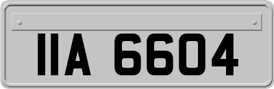 IIA6604