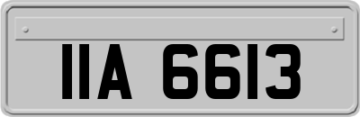 IIA6613