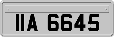 IIA6645
