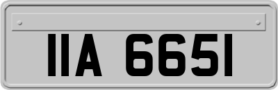 IIA6651
