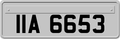 IIA6653