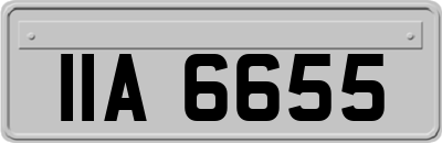 IIA6655
