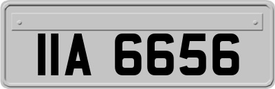 IIA6656