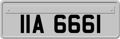 IIA6661