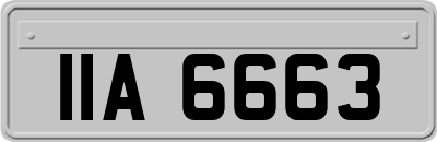 IIA6663