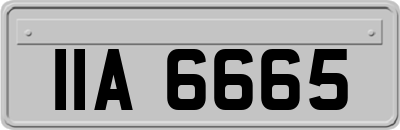 IIA6665