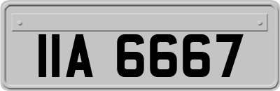IIA6667