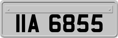 IIA6855