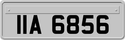 IIA6856