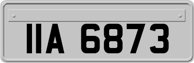 IIA6873