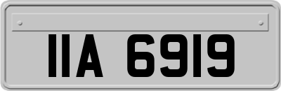 IIA6919