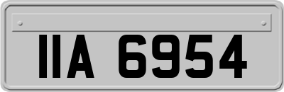 IIA6954