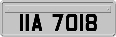 IIA7018