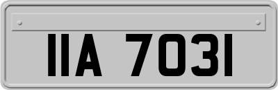 IIA7031