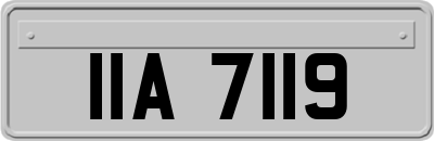 IIA7119