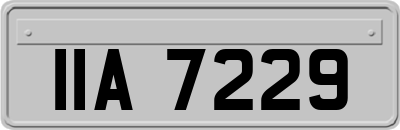 IIA7229