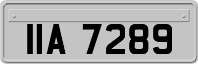 IIA7289