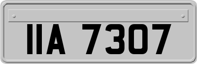 IIA7307