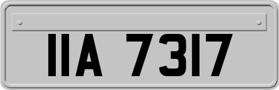 IIA7317