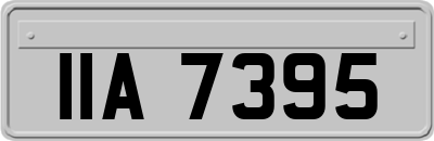 IIA7395