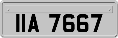 IIA7667