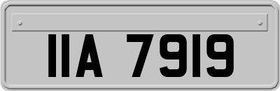 IIA7919