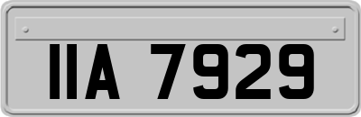IIA7929