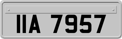 IIA7957