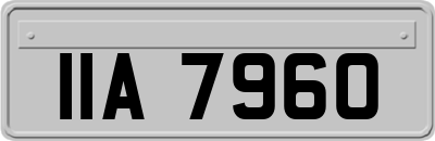 IIA7960